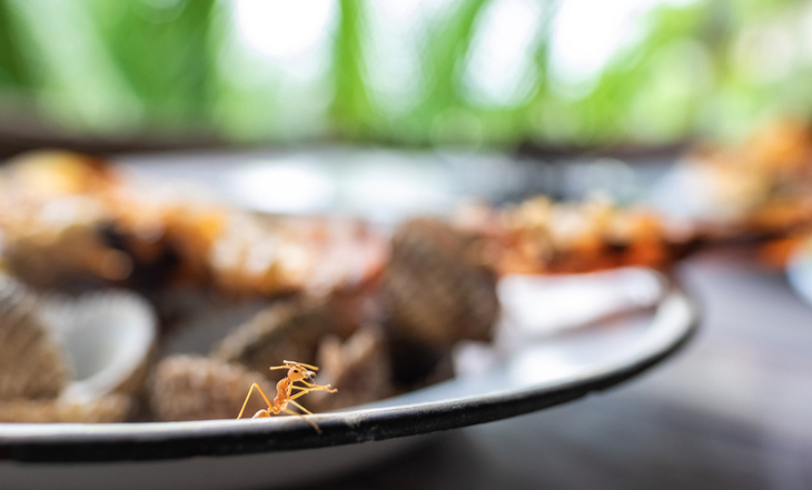 shutterstock1114145402